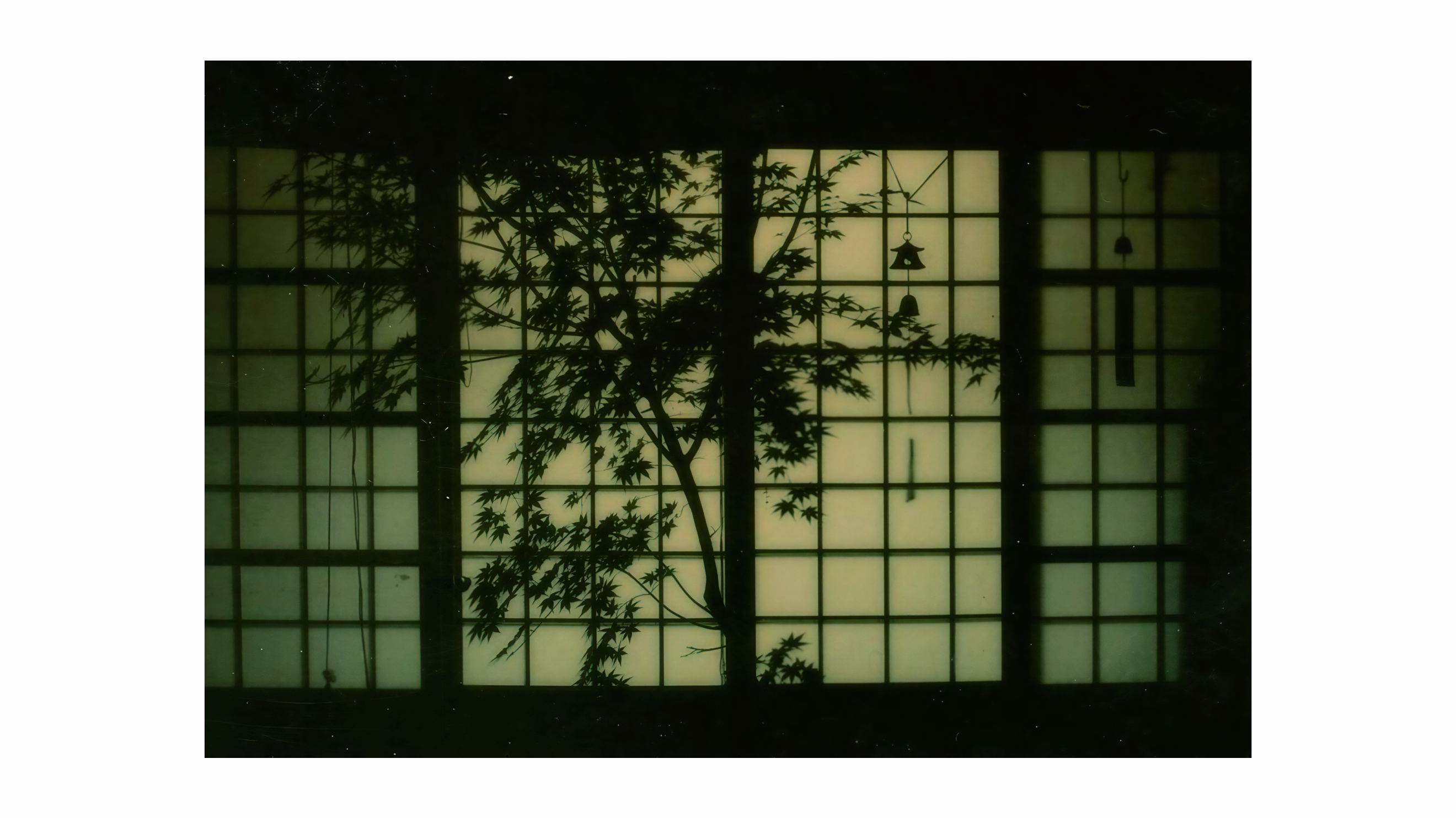 a new Frame of perspective